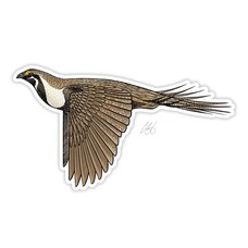 CASEY UNDERWOOD SAGE GROUSE UNDERWOOD STICKER