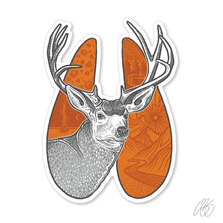 CASEY UNDERWOOD CASEY UNDERWOOD TRACK DECALS