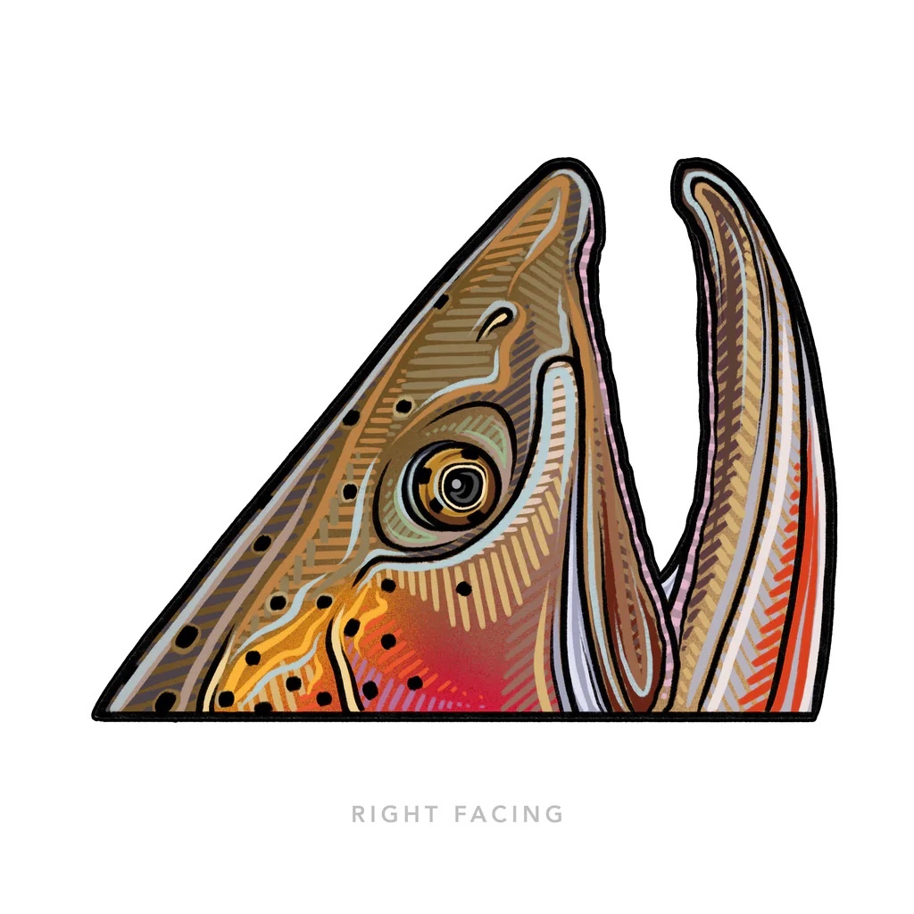 Casey Underwood Fish Decal - Salt Water