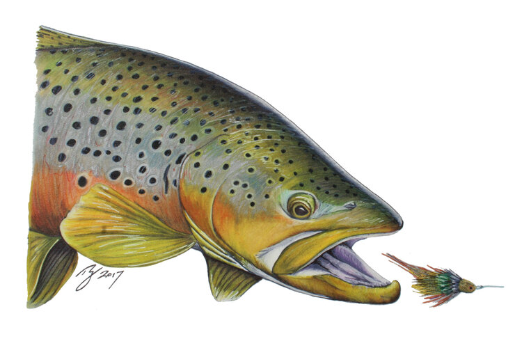 Ty Outdoors TY HALLOCK STICKERS