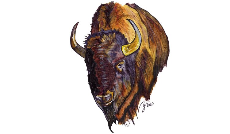 Ty Outdoors TY HALLOCK STICKERS