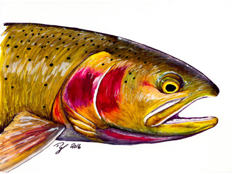 Ty Outdoors TY HALLOCK STICKERS