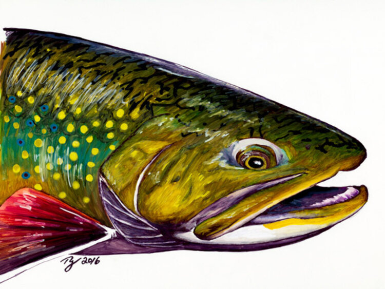 Ty Outdoors TY HALLOCK STICKERS