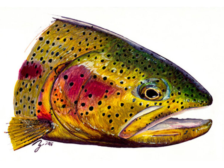 Ty Outdoors TY HALLOCK STICKERS