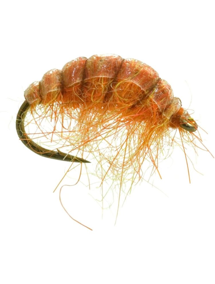 Umpqua Feather Merchants HUNCHBACK SCUD