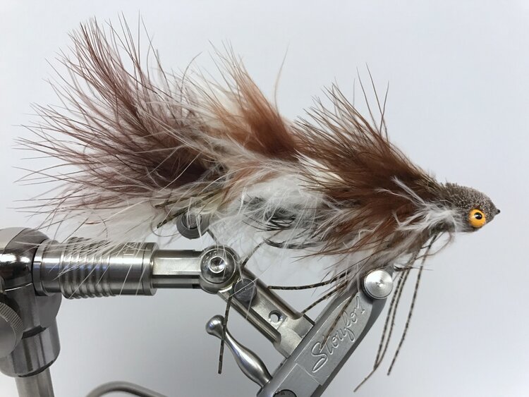 Ugly Bug Fly Shop Galloup's Menage a Dungeon