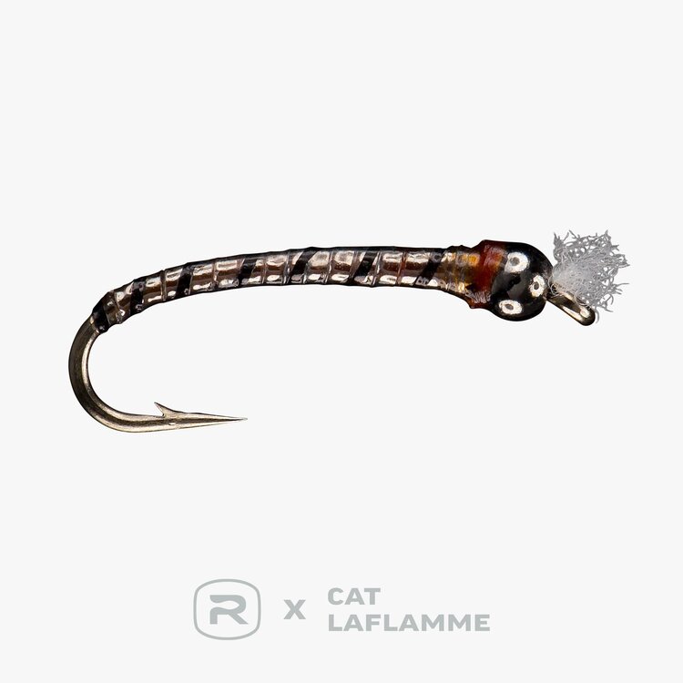 Rio RIO'S HANGIN' WITH MY CHROMIES