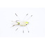 Dream Cast Fly Fishing PATO'S CRAB WHITE #4