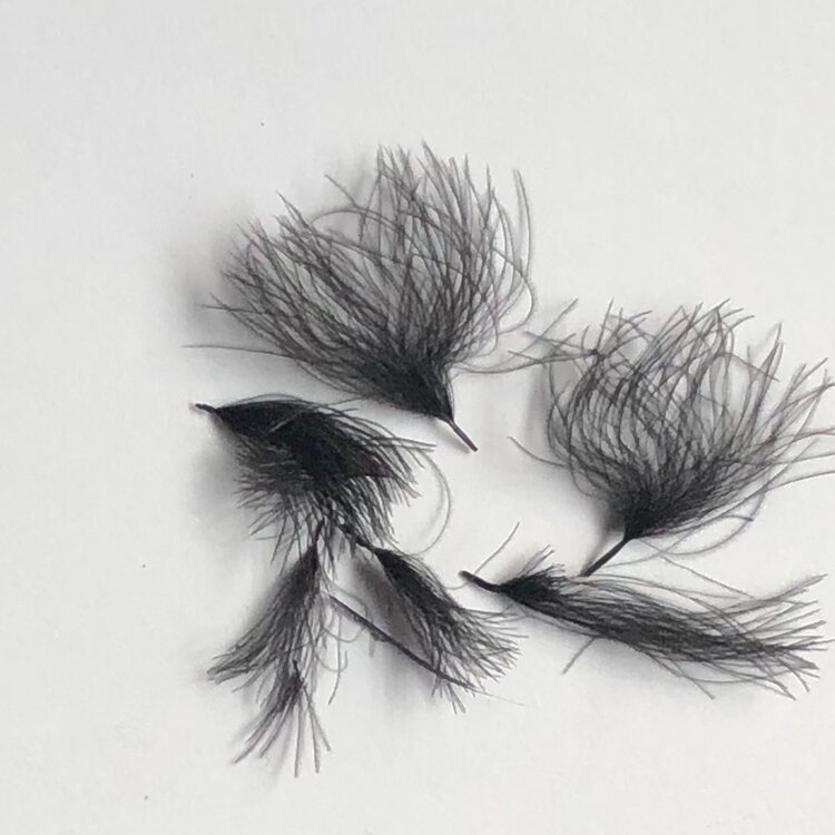 Hareline Dubbin HARELINE CDC OILER PUFFS