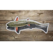 REP YOUR WATER SHALLOW WATER BROOKIE STICKER