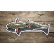 Rep Your Water REP YOUR WATER SHALLOW WATER BROOKIE STICKER