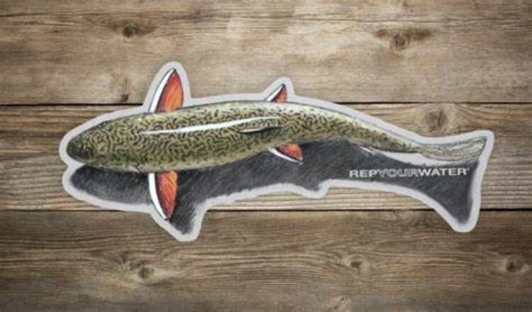 Rep Your Water REP YOUR WATER SHALLOW WATER BROOKIE STICKER