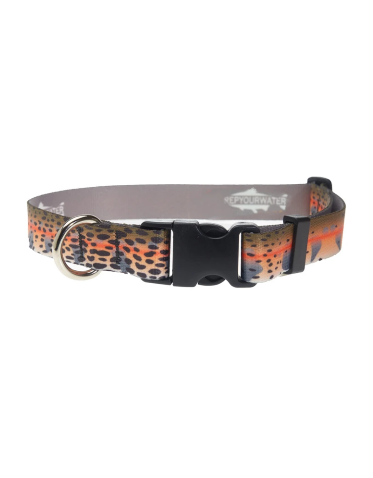 Rep Your Water REP YOUR WATER DOG COLLAR