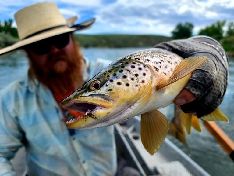 Big Horn River