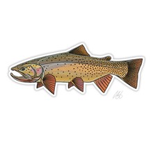 Snake River Cutty Decal by Casey Underwood