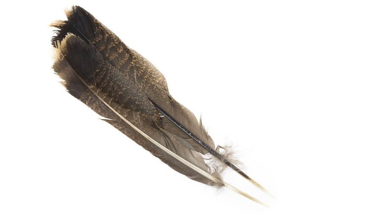 Hareline TURKEY TAIL FEATHERS