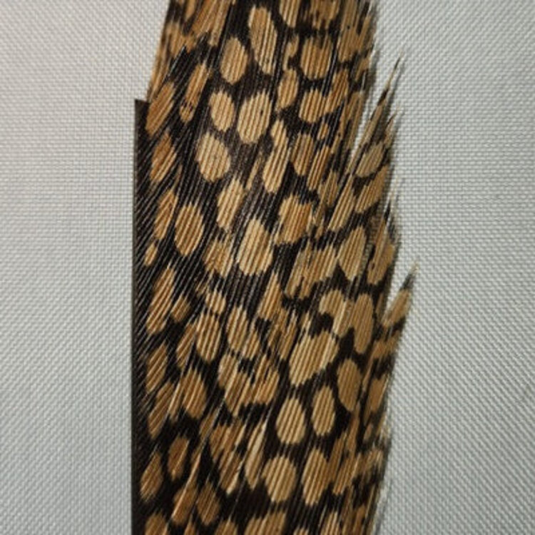 Wapsi GOLDEN PHEASANT TAIL PIECE
