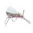 Ugly Bug Fly Shop Donkey Kong Hopper pink 12