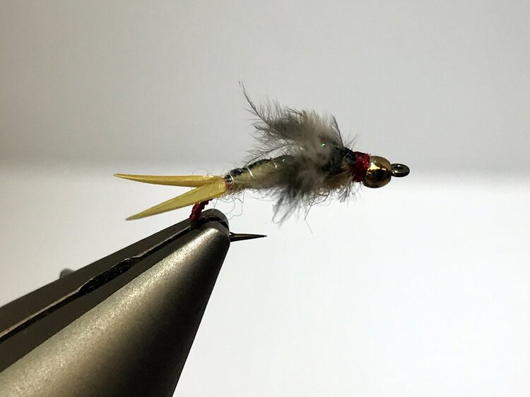 Ugly Bug Fly Shop Jackson's Sallie  Bead Head