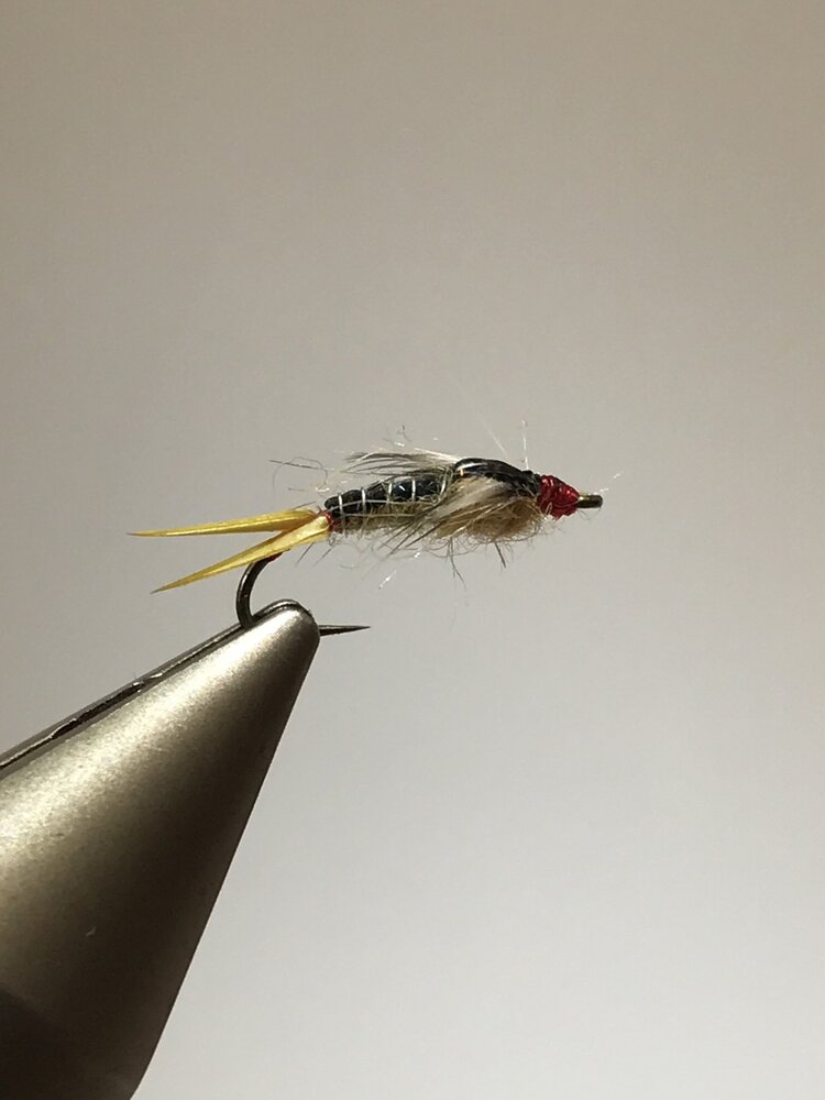 Ugly Bug Fly Shop Jackson's Sally