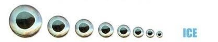 Fish Skull FISH SKULL LIVING EYES