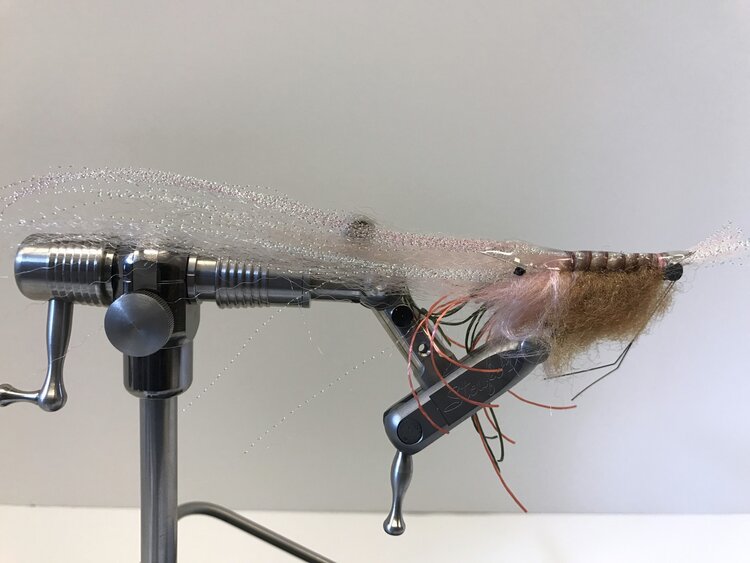 Ugly Bug Fly Shop Saltwater Appetizer