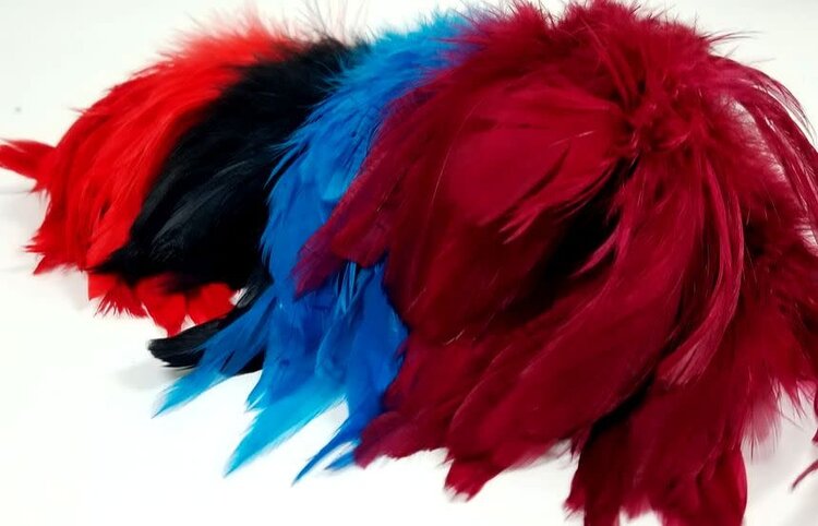 NATURE'S SPIRIT NATURE'S SPIRIT FISH HUNTER SELECT SHLAPPEN