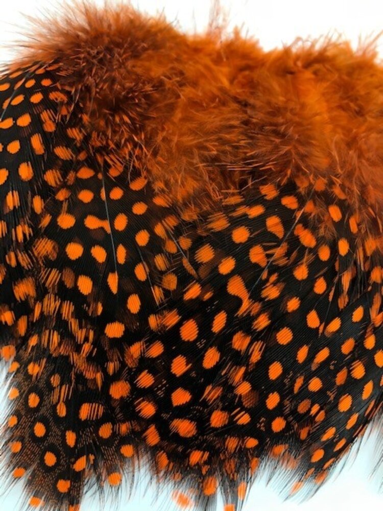 Hareline Dubbin HARELINE STRUNG GUINEA FEATHERS