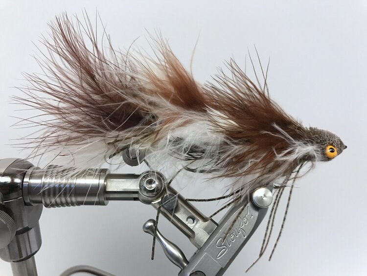 Ugly Bug Fly Shop Galloup's Menage a Dungeon