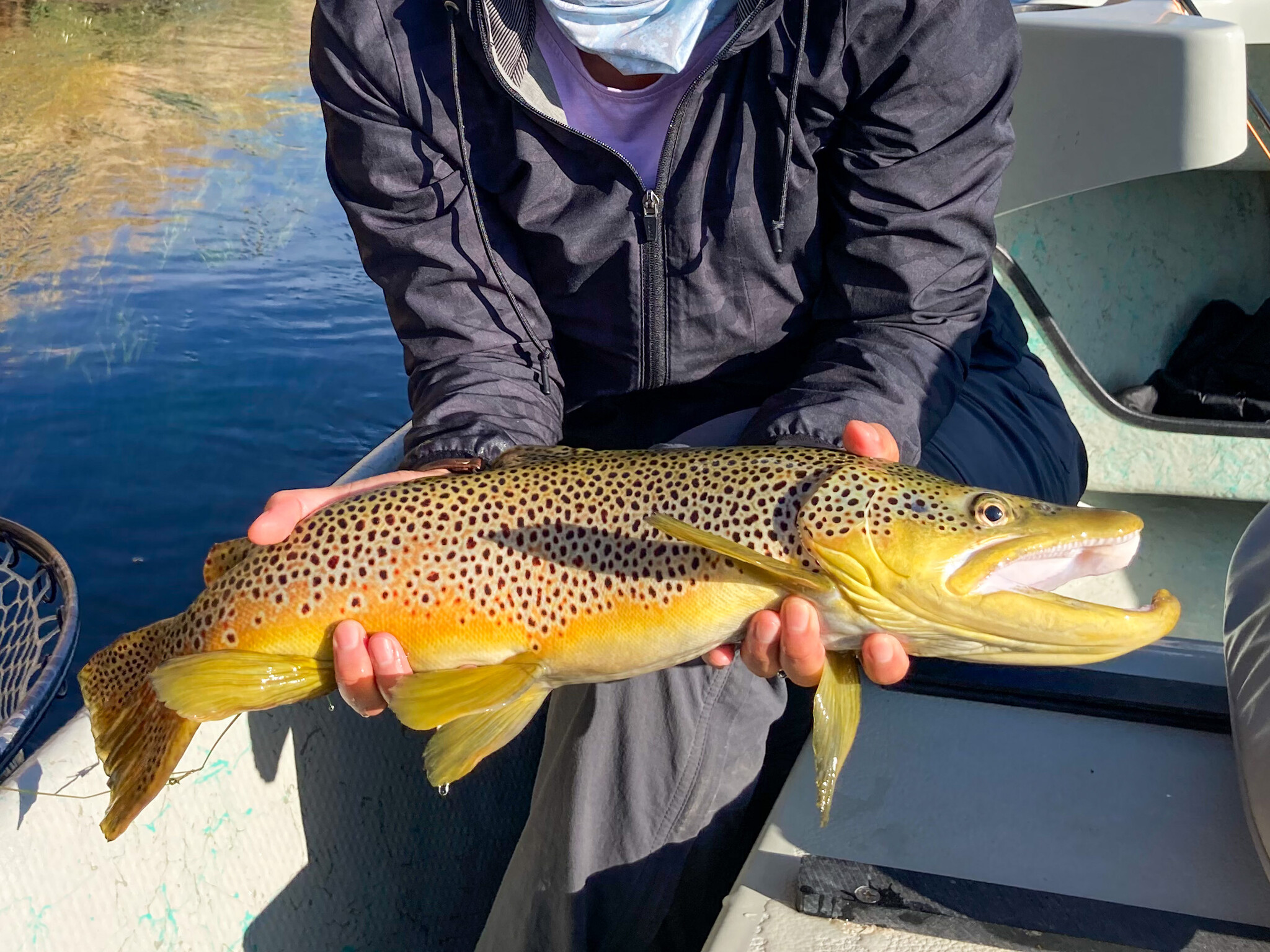 Fishing Report 09/25/2023