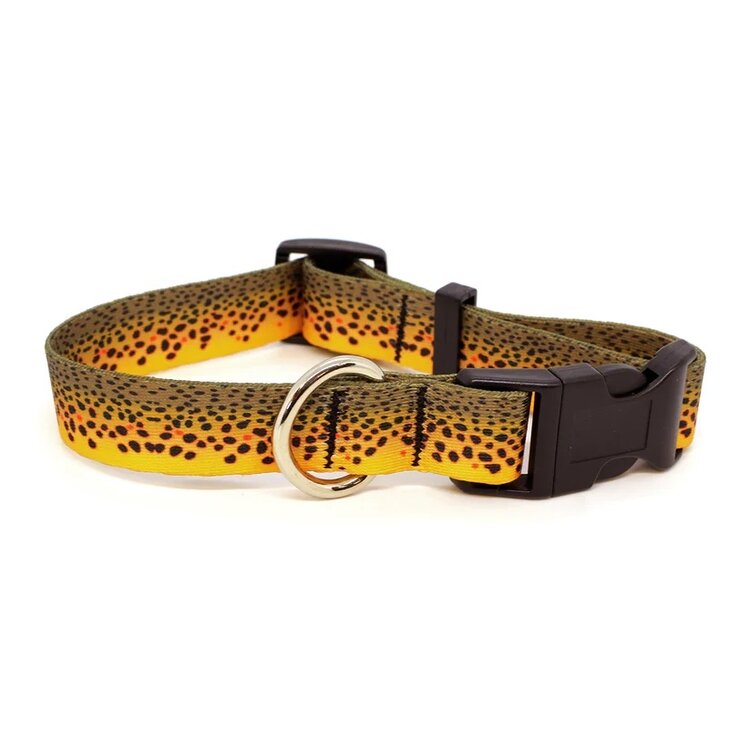 Rep Your Water REP YOUR WATER DOG COLLAR