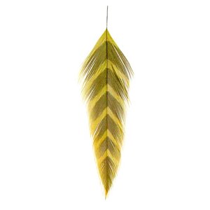 MFC Galloup's Arrowhead Fish Feathers Yellow/Olive