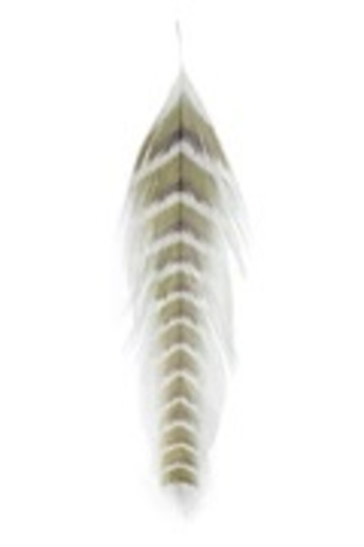 Montana Fly Company GALLOUPS FISH FEATHERS