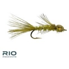Rio DAINTY DAMSEL OLIVE 12