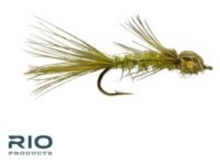 Rio DAINTY DAMSEL OLIVE 12