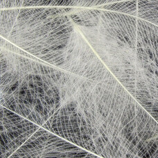 Hareline CUL DE CANARD HARELINE