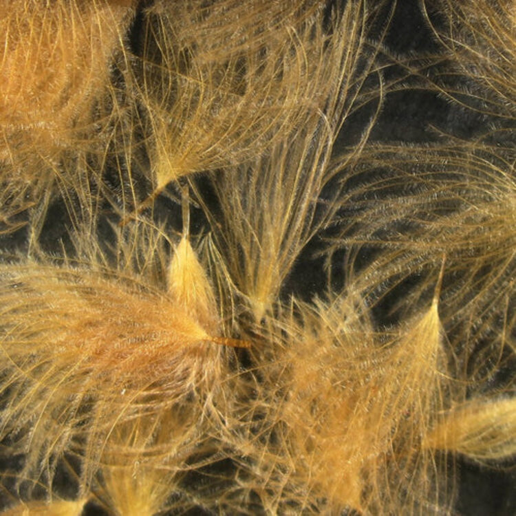 Hareline CUL DE CANARD HARELINE