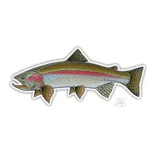 CASEY UNDERWOOD Rainbow Trout Decal by Casey Underwood