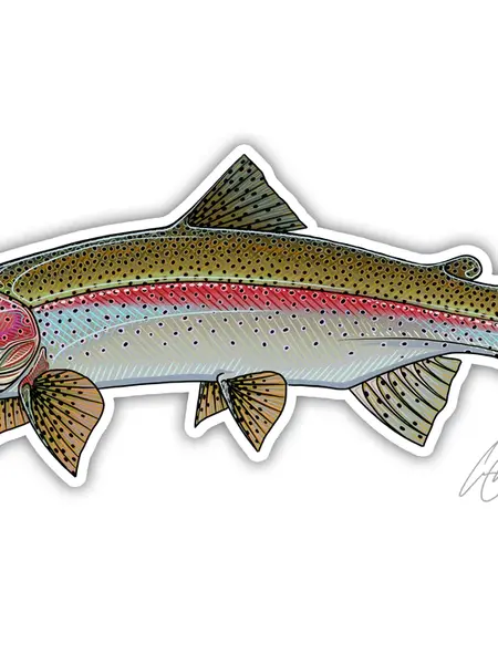 Fish Decals– Casey Underwood Artwork & Design