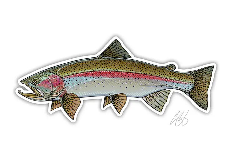 CASEY UNDERWOOD Rainbow Trout Decal by Casey Underwood