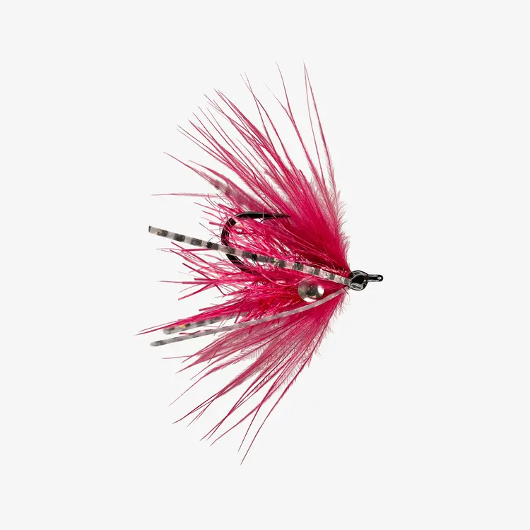 Rio RIO'S CARPDASHIAN