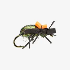 Rio RIO'S GROUND BEETLE