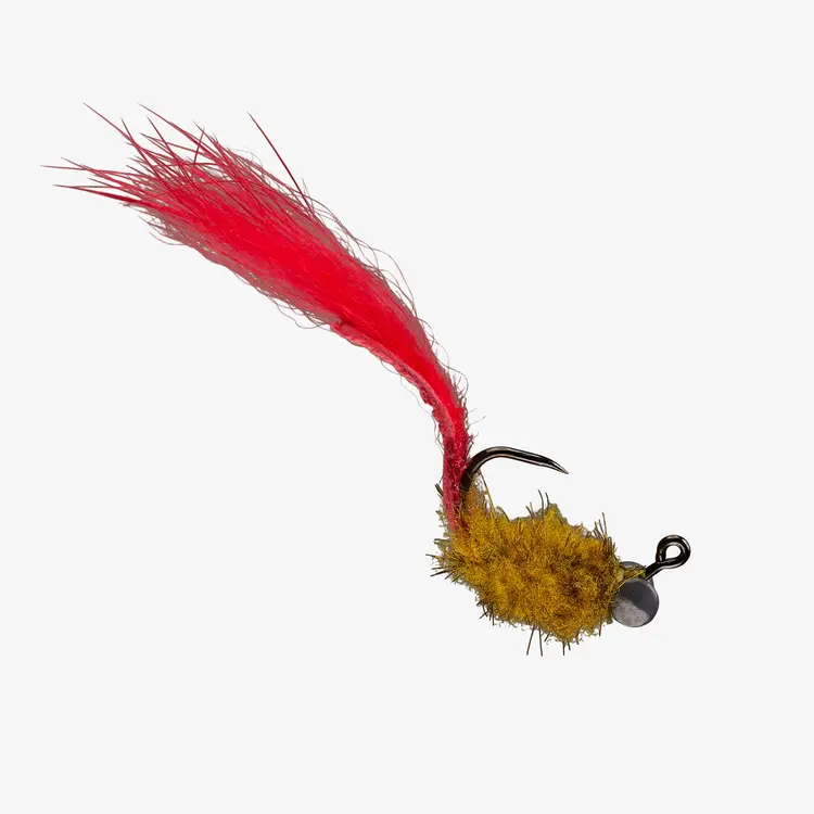 Rio RIO'S RESTING CARP FACE OLIVE #6