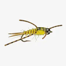 Rio YELLOW SALLY NYMPH