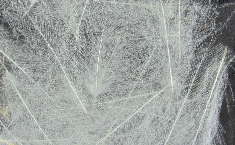 Hareline Dubbin UV2 SELECT CDC