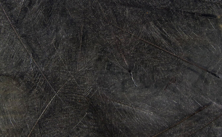 Hareline Dubbin UV2 SELECT CDC