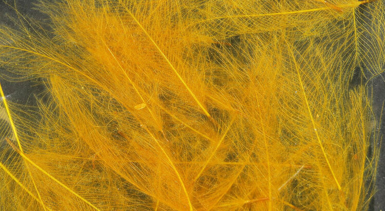 Hareline Dubbin UV2 SELECT CDC