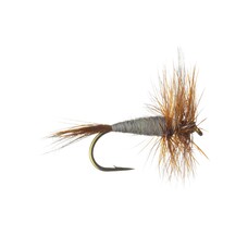 Solitude Fly Company ADAM MALE DRY FLY