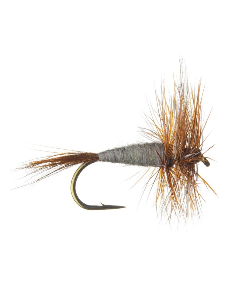 Solitude Fly Company ADAM MALE DRY FLY
