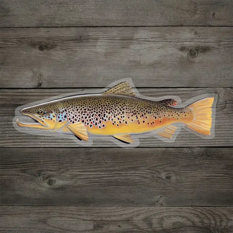 Rep Your Water Brown Trout Sticker